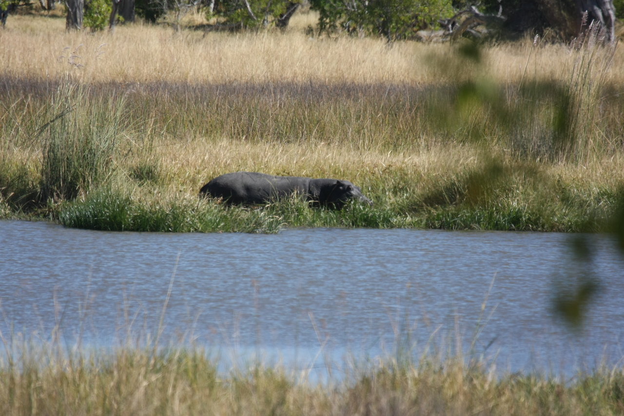 [19608] 2016_06_28_05_24_04_Africa_Canon_EOS_40D_IMG__00654.jpg