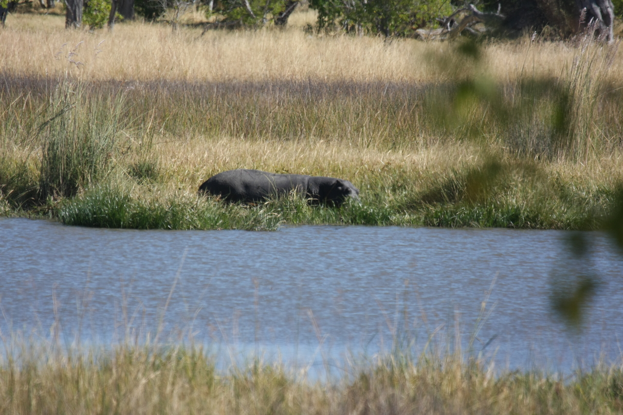 [19612] 2016_06_28_05_24_04_Africa_Canon_EOS_40D_IMG__03042.jpg