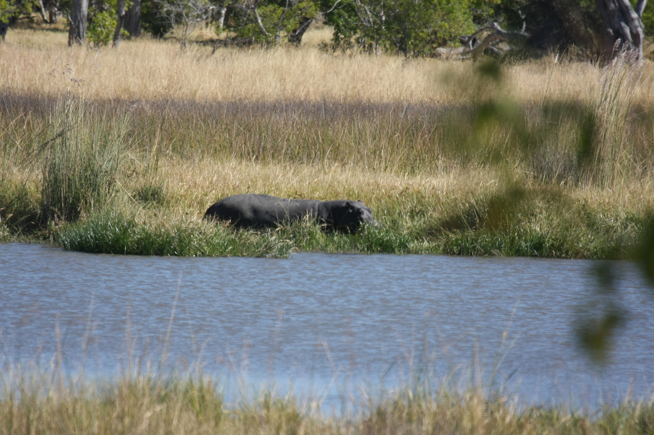 [19617] 2016_06_28_05_24_10_Africa_Canon_EOS_40D_IMG__03043.jpg