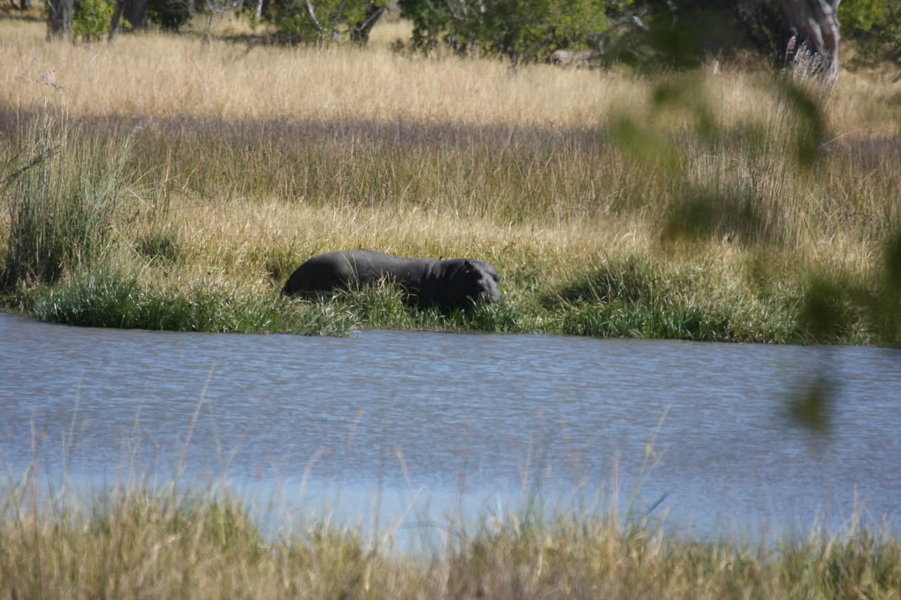 [19634] 2016_06_28_05_25_03_Africa_Canon_EOS_40D_IMG__00663.jpg