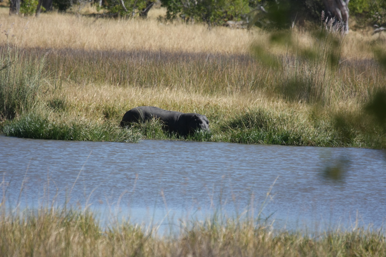 [19646] 2016_06_28_05_25_08_Africa_Canon_EOS_40D_IMG__03053.jpg