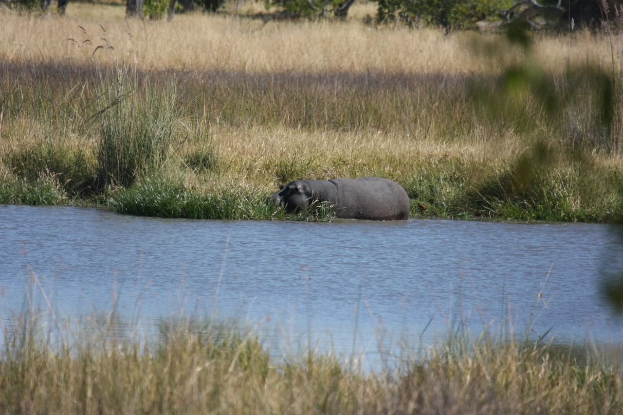 [19652] 2016_06_28_05_26_56_Africa_Canon_EOS_40D_IMG__00671.jpg