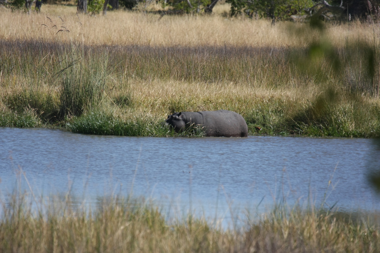 [19654] 2016_06_28_05_26_56_Africa_Canon_EOS_40D_IMG__00673.jpg