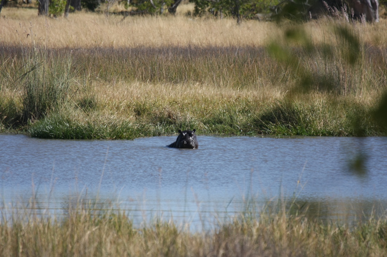 [19670] 2016_06_28_05_27_24_Africa_Canon_EOS_40D_IMG__10509.jpg