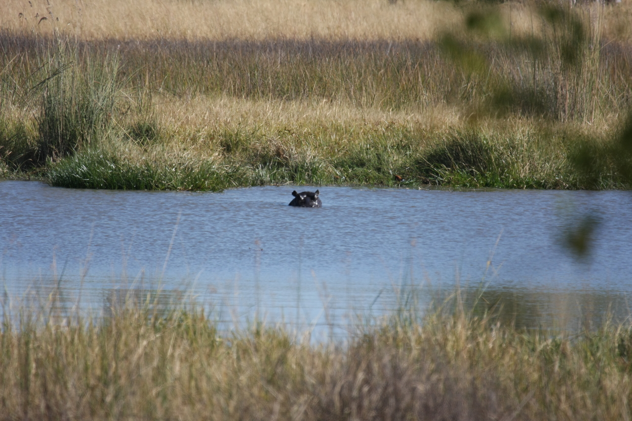 [19681] 2016_06_28_05_27_27_Africa_Canon_EOS_40D_IMG__03069.jpg