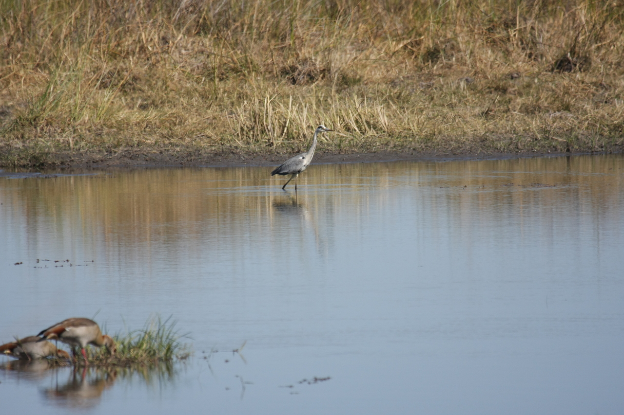 [19746] 2016_06_28_05_33_07_Africa_Canon_EOS_40D_IMG__10538.jpg