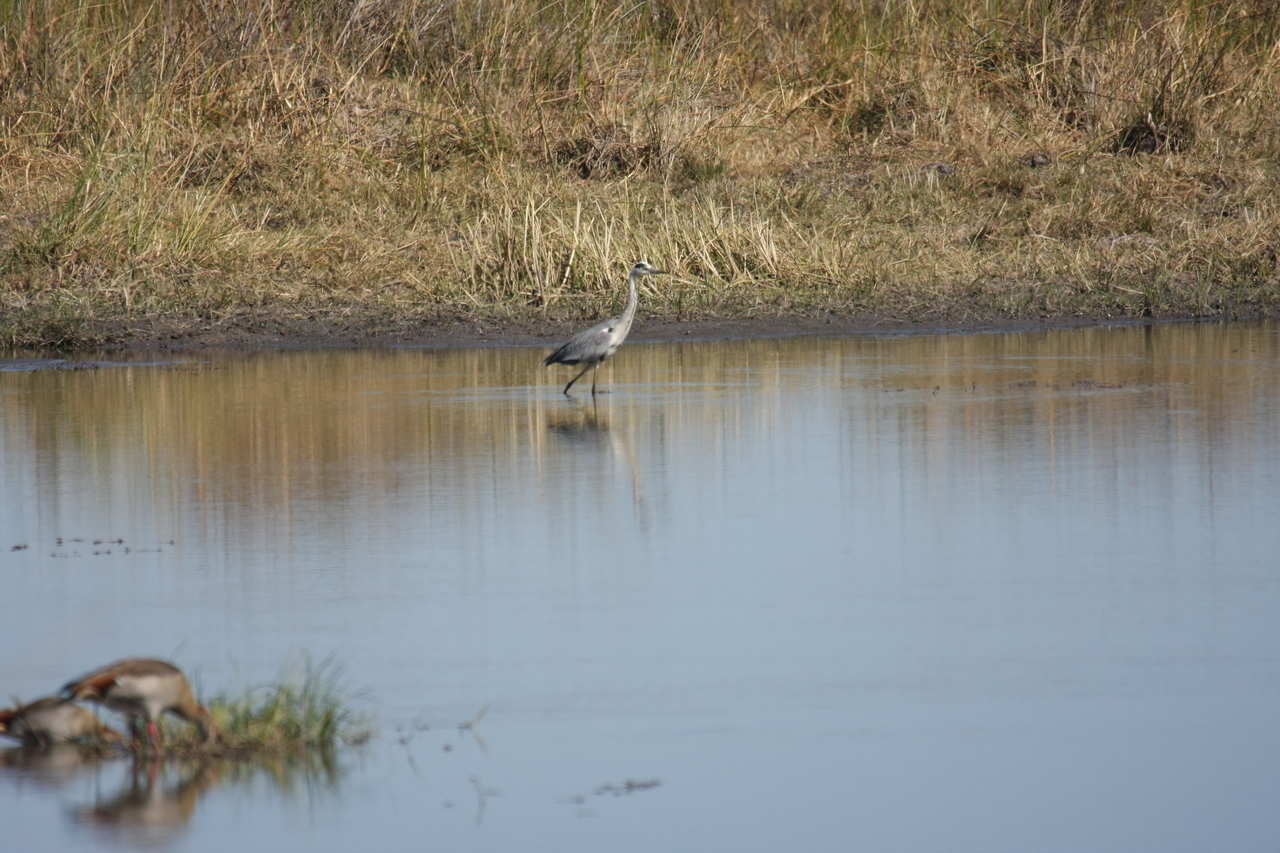 [19747] 2016_06_28_05_33_07_Africa_Canon_EOS_40D_IMG__10539.jpg