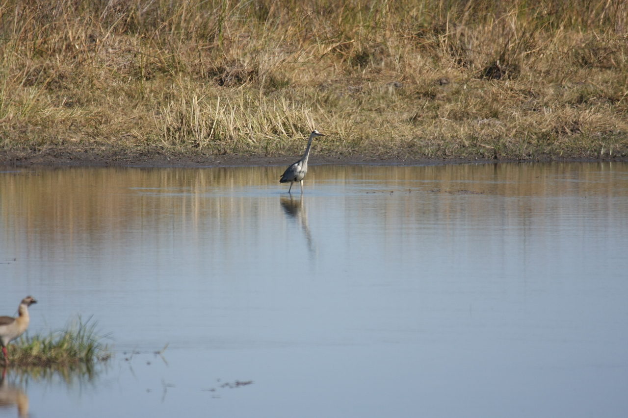 [19759] 2016_06_28_05_33_17_Africa_Canon_EOS_40D_IMG__03097.jpg