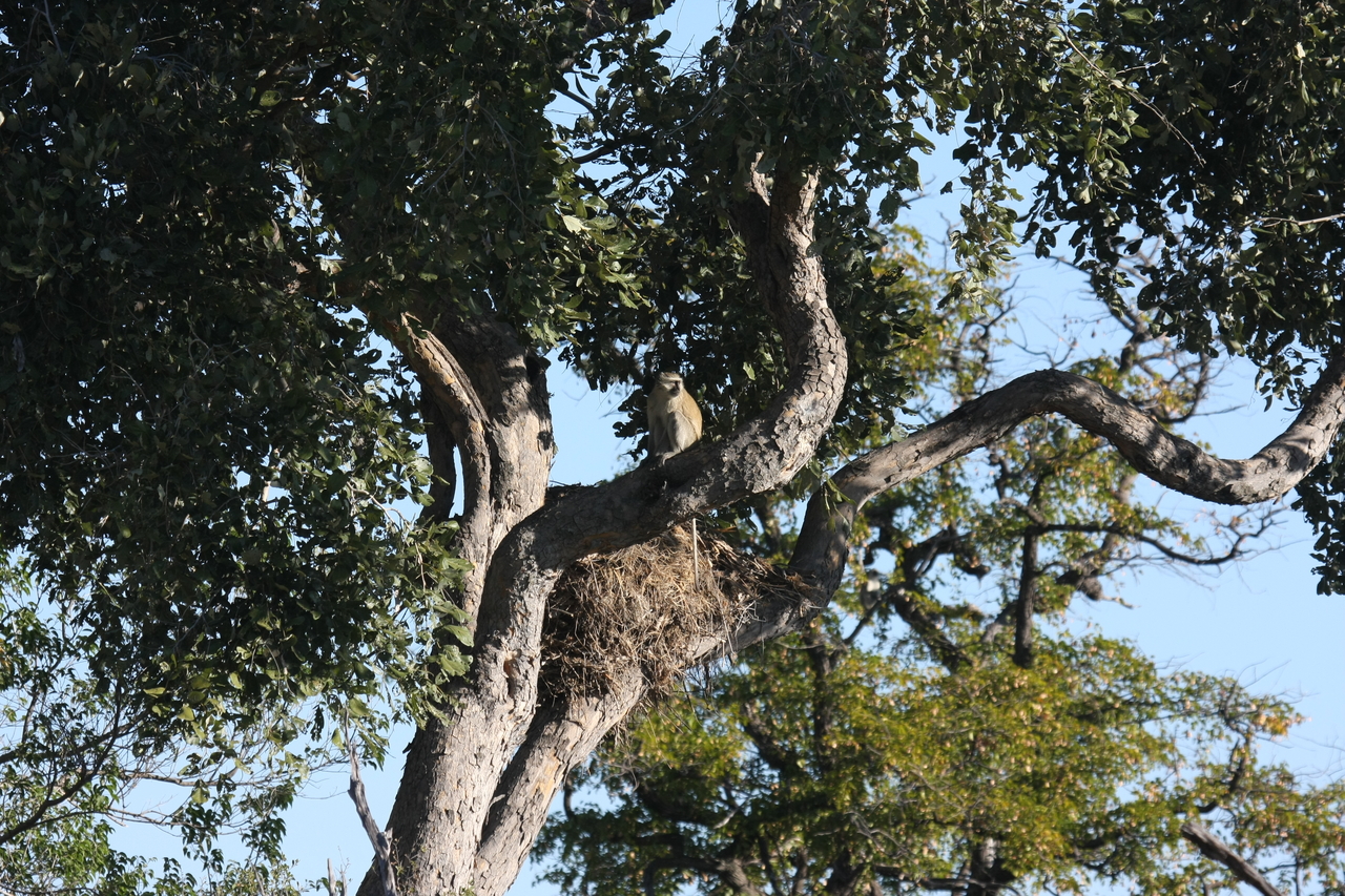 [19994] 2016_06_28_10_27_44_Africa_Canon_EOS_40D_IMG__03117.jpg