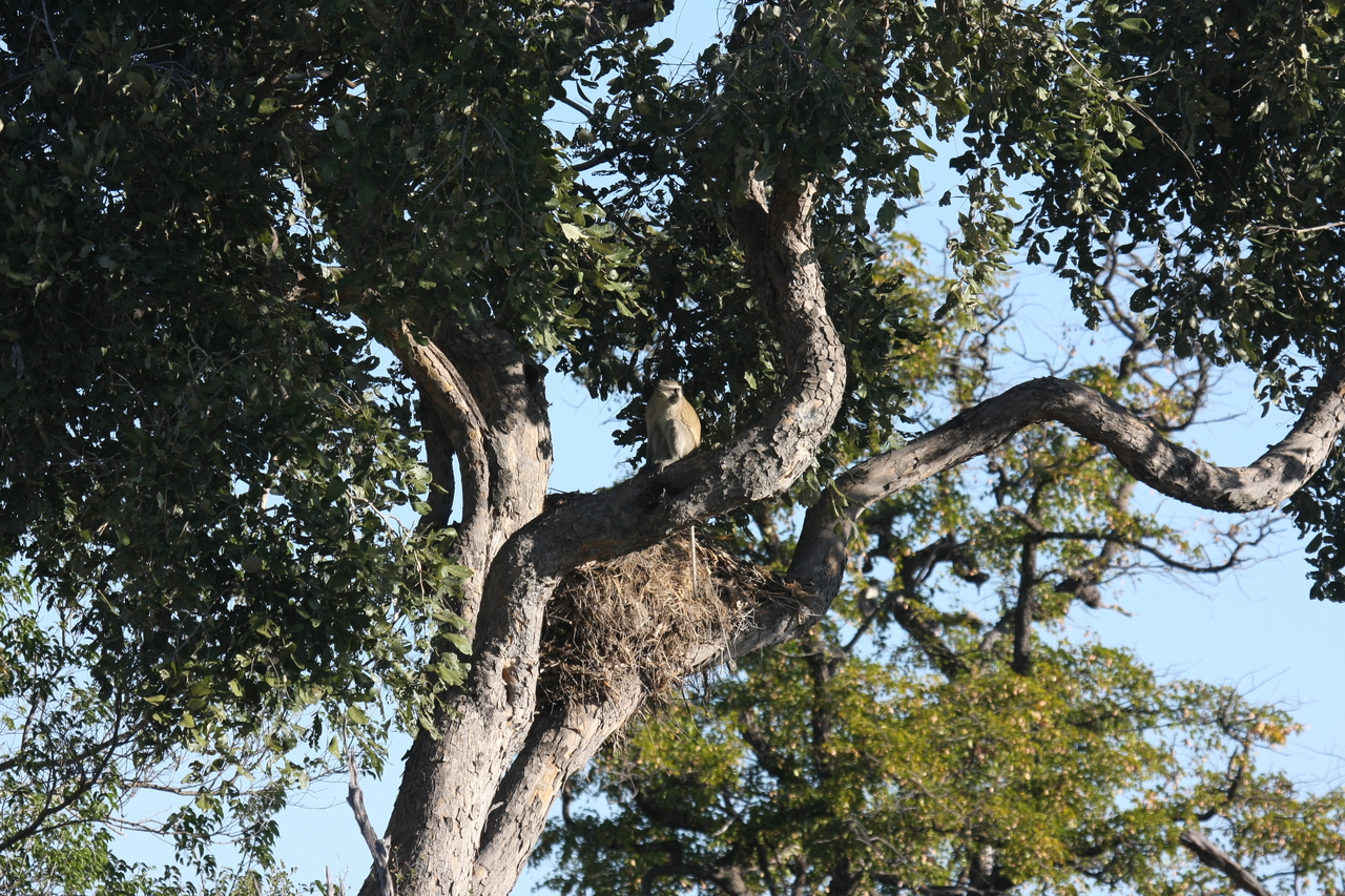 [19997] 2016_06_28_10_27_44_Africa_Canon_EOS_40D_IMG__10565.jpg