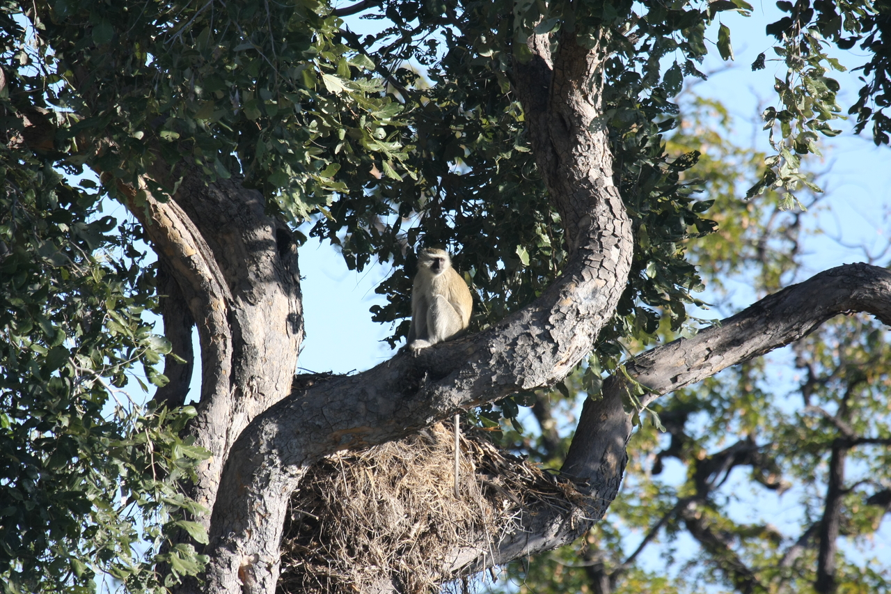 [20006] 2016_06_28_10_28_23_Africa_Canon_EOS_40D_IMG__00737.jpg
