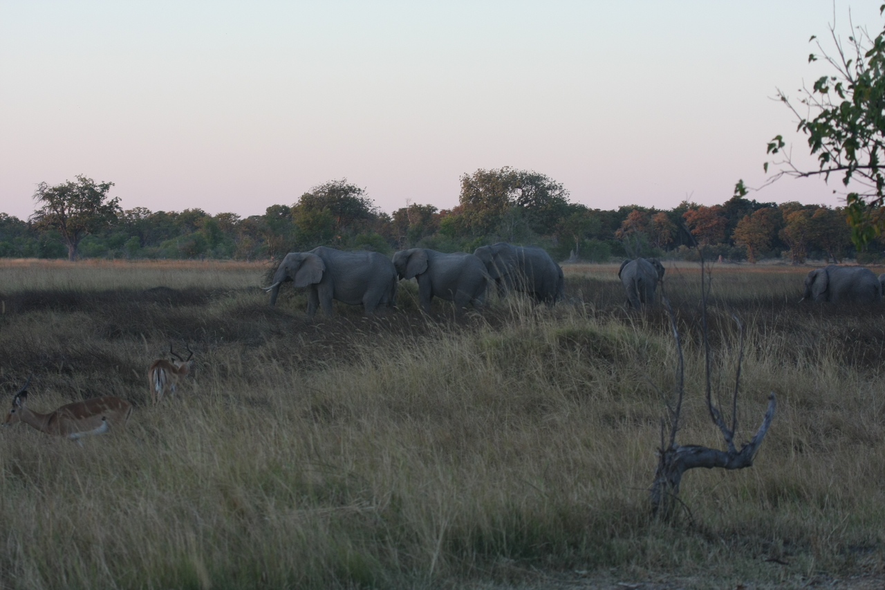 [20128] 2016_06_28_11_52_42_Africa_Canon_EOS_40D_IMG__10589.jpg