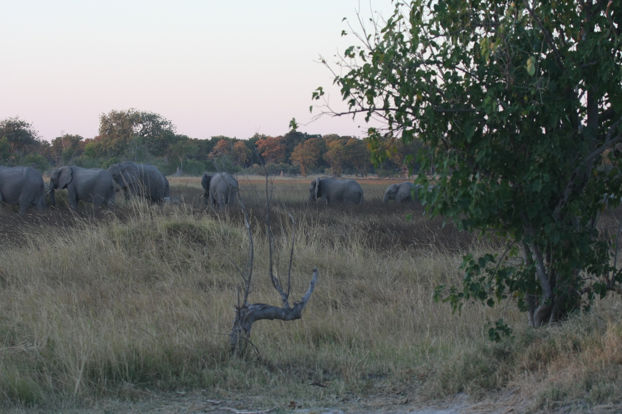 [20132] 2016_06_28_11_52_46_Africa_Canon_EOS_40D_IMG__10592.jpg