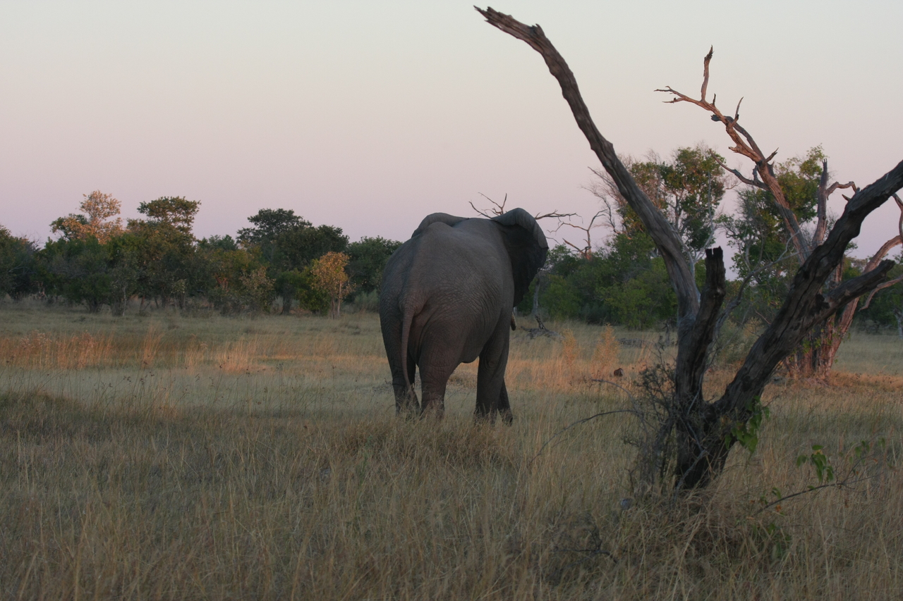 [20166] 2016_06_28_11_53_22_Africa_Canon_EOS_40D_IMG__03158.jpg