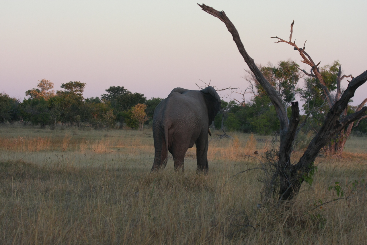 [20167] 2016_06_28_11_53_22_Africa_Canon_EOS_40D_IMG__10604.jpg