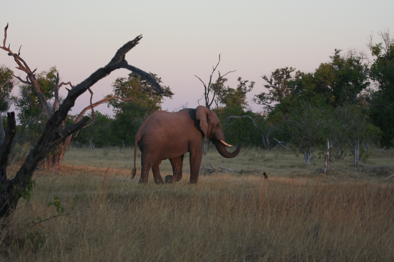 [20171] 2016_06_28_11_53_44_Africa_Canon_EOS_40D_IMG__10606.jpg