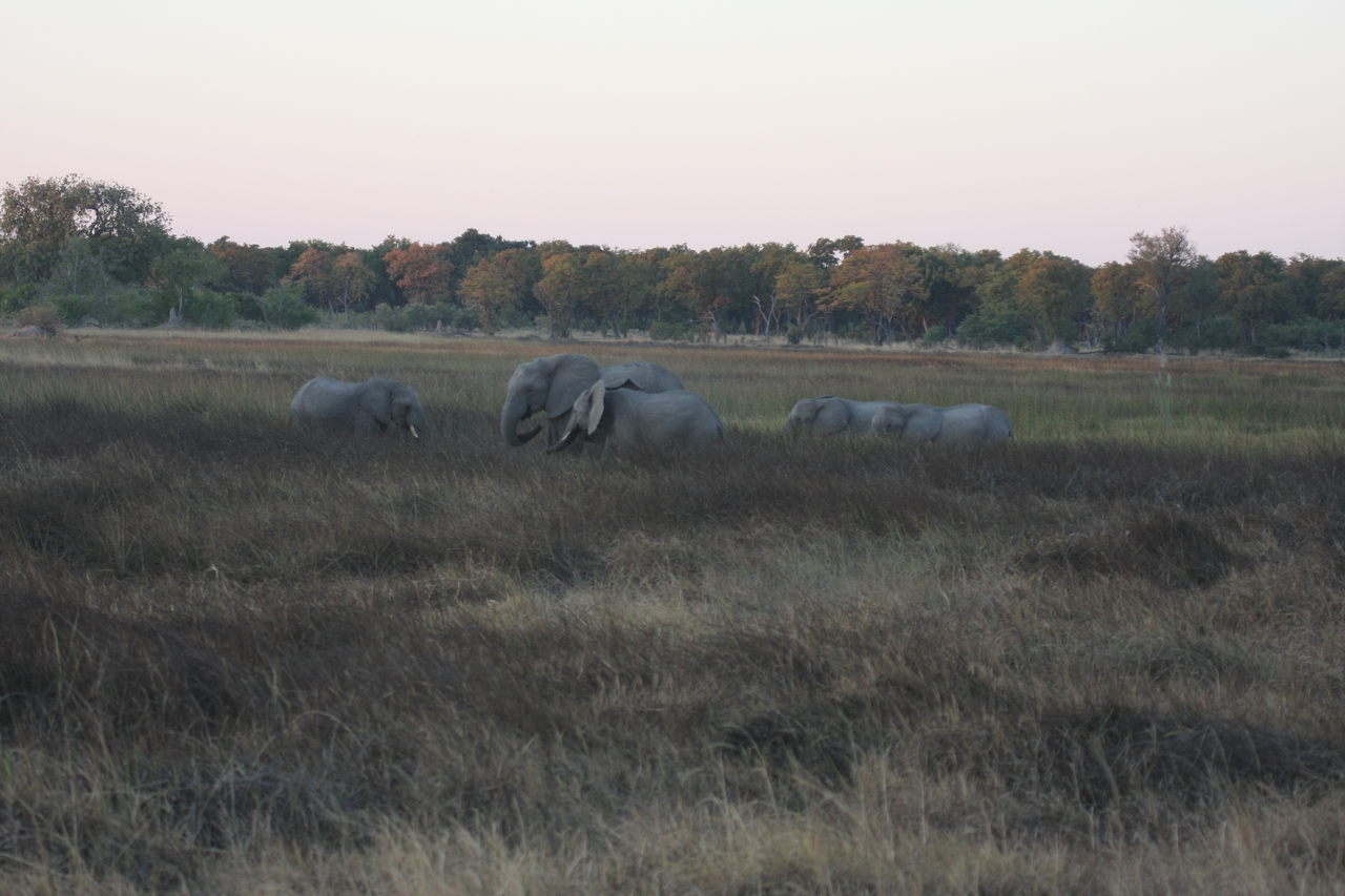 [20172] 2016_06_28_11_54_14_Africa_Canon_EOS_40D_IMG__00773.jpg