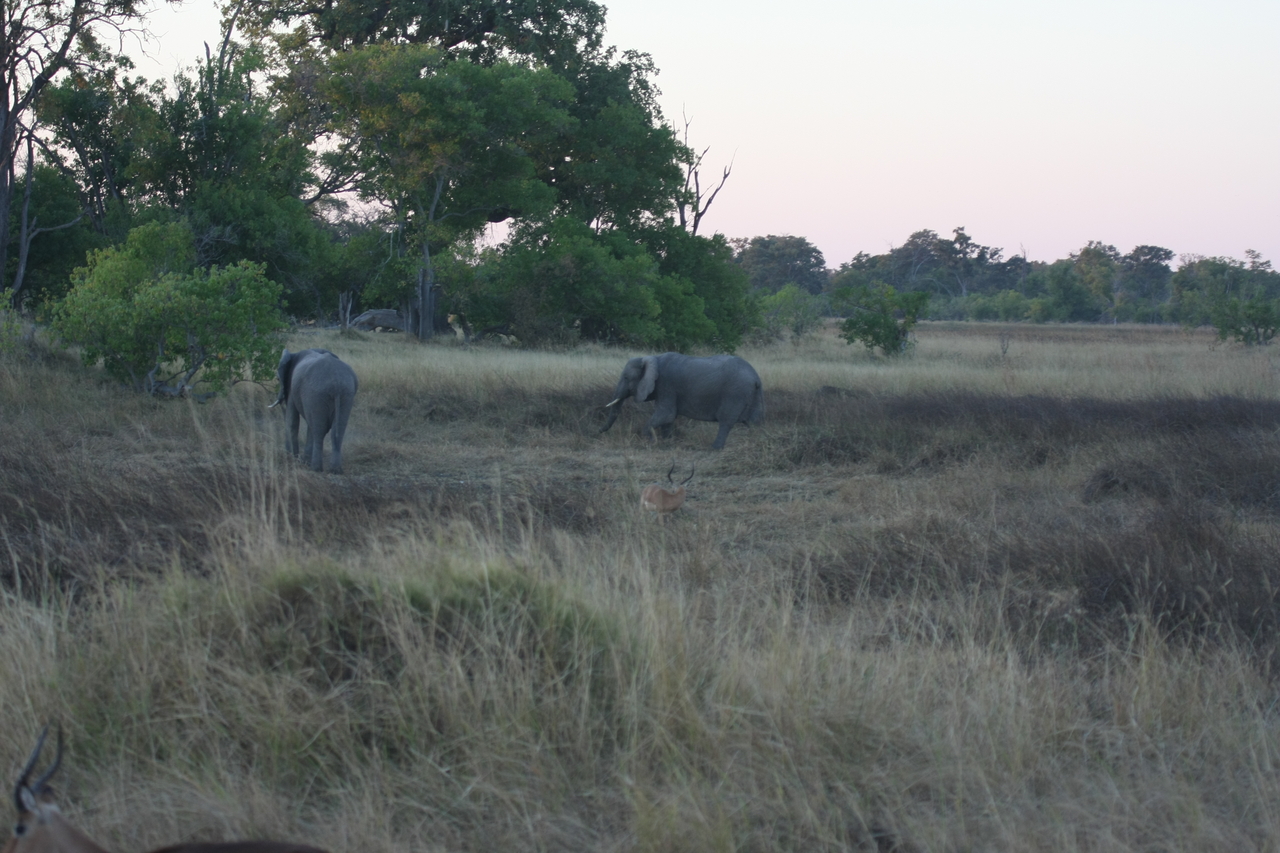 [20185] 2016_06_28_11_54_21_Africa_Canon_EOS_40D_IMG__03164.jpg