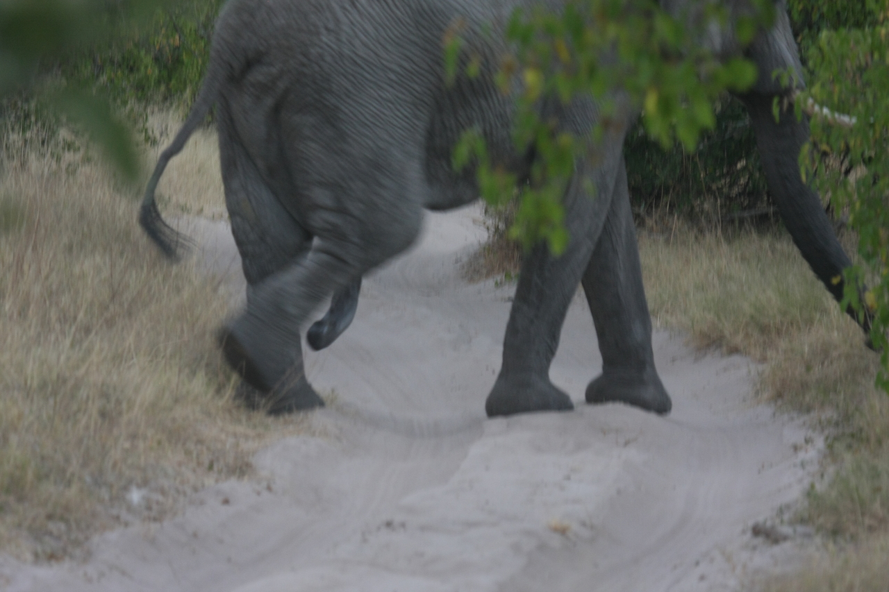 [20329] 2016_06_28_12_00_24_Africa_Canon_EOS_40D_IMG__00826.jpg