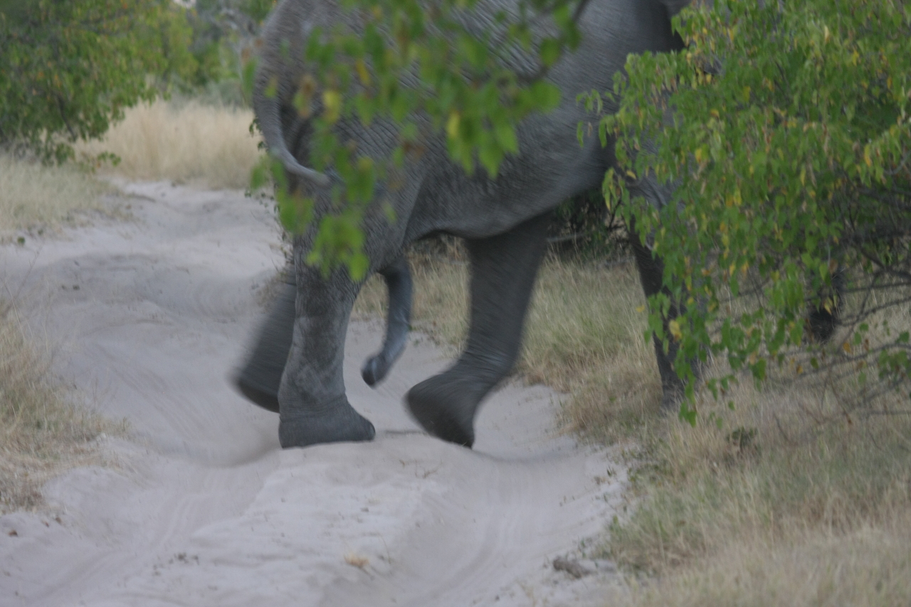 [20333] 2016_06_28_12_00_25_Africa_Canon_EOS_40D_IMG__00828.jpg