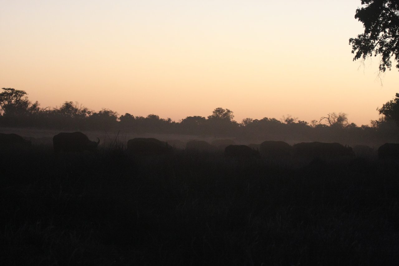 [20351] 2016_06_28_12_17_47_Africa_Canon_EOS_40D_IMG__10666.jpg