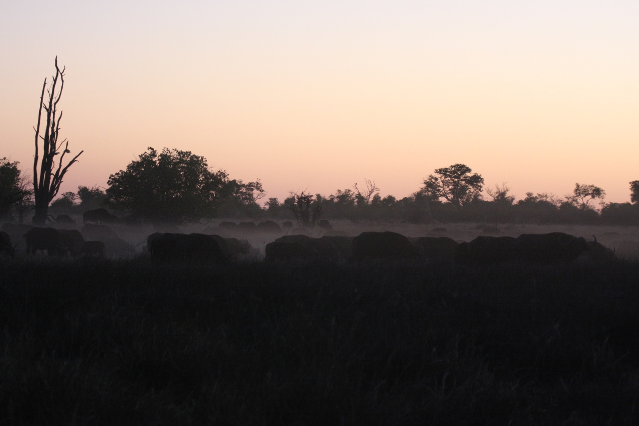 [20352] 2016_06_28_12_17_57_Africa_Canon_EOS_40D_IMG__00833.jpg