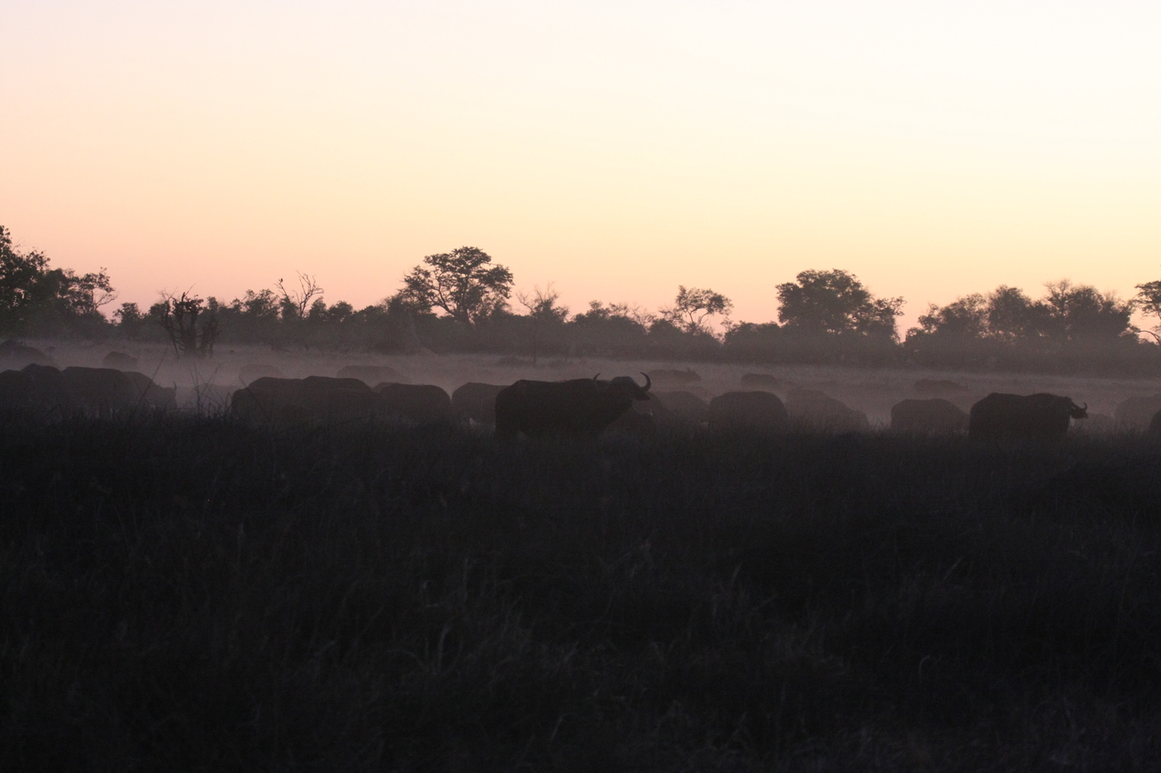 [20368] 2016_06_28_12_18_58_Africa_Canon_EOS_40D_IMG__00840.jpg