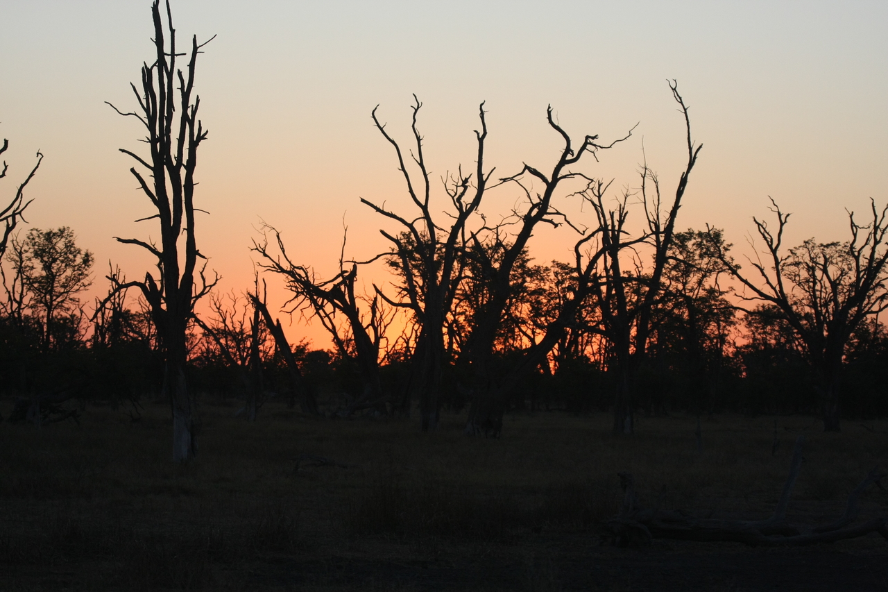 [20572] 2016_06_29_01_00_18_Africa_Canon_EOS_40D_IMG__10858.jpg