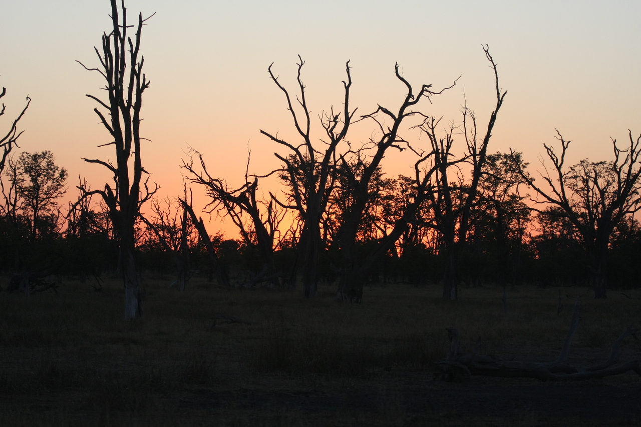 [20574] 2016_06_29_01_00_22_Africa_Canon_EOS_40D_IMG__03422.jpg