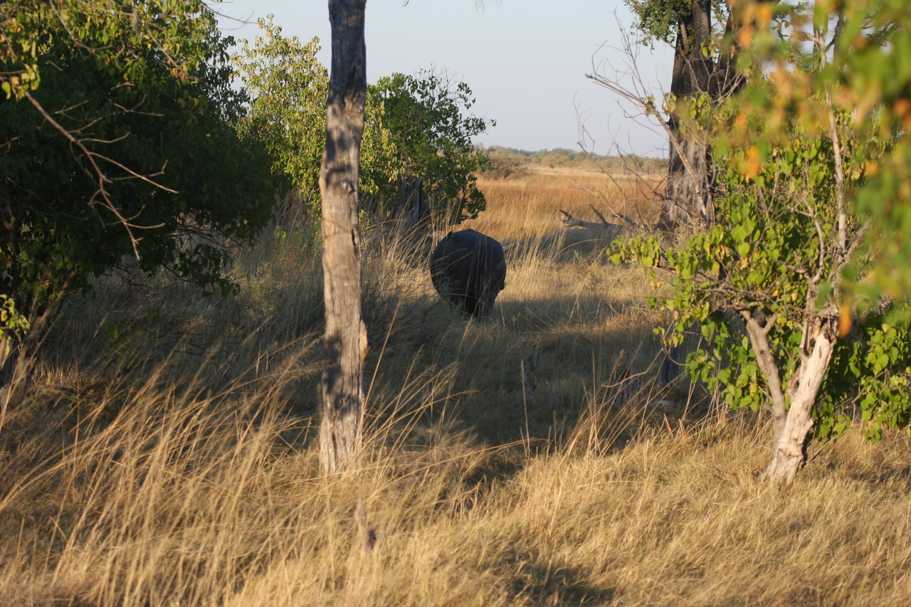 [20580] 2016_06_29_01_31_04_Africa_Canon_EOS_40D_IMG__10880.jpg