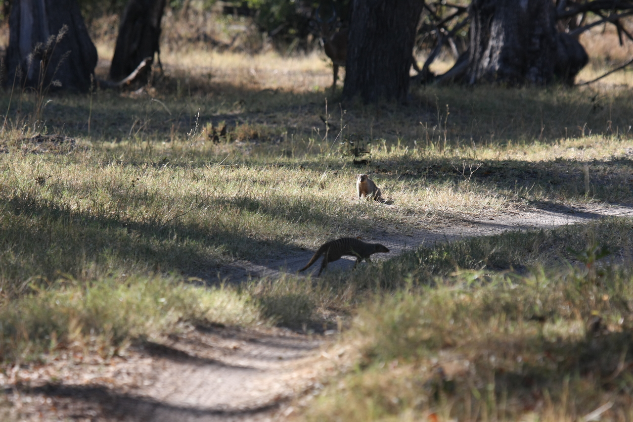 [20905] 2016_06_29_03_09_03_Africa_Canon_EOS_40D_IMG__10732.jpg