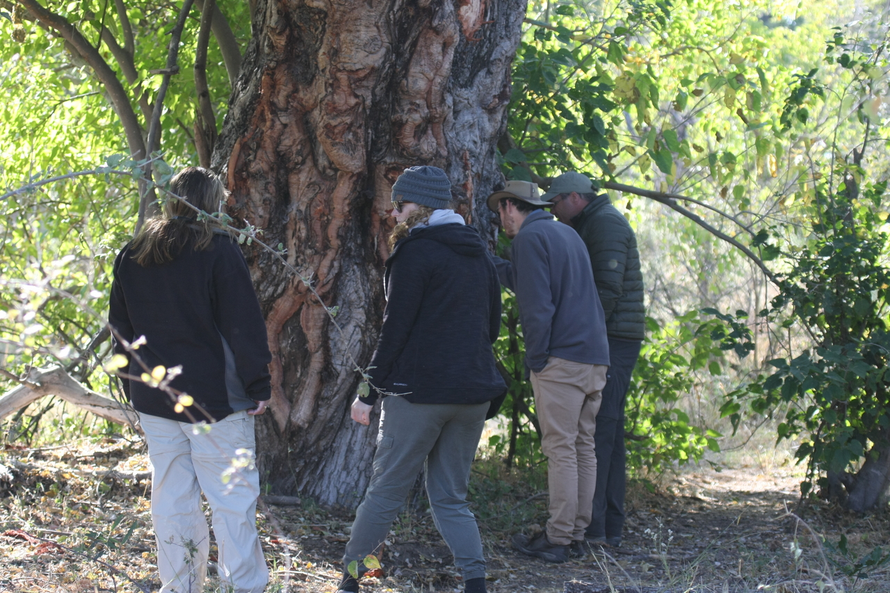 [21118] 2016_06_29_03_42_29_Africa_Canon_EOS_40D_IMG__03364.jpg