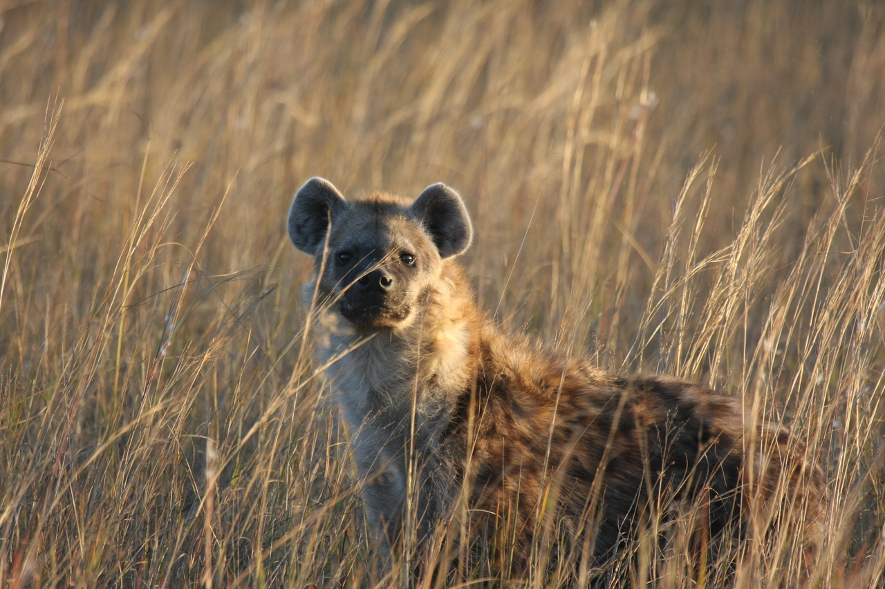 [21613] 2016_06_29_11_34_46_Africa_Canon_EOS_40D_IMG__00232.jpg