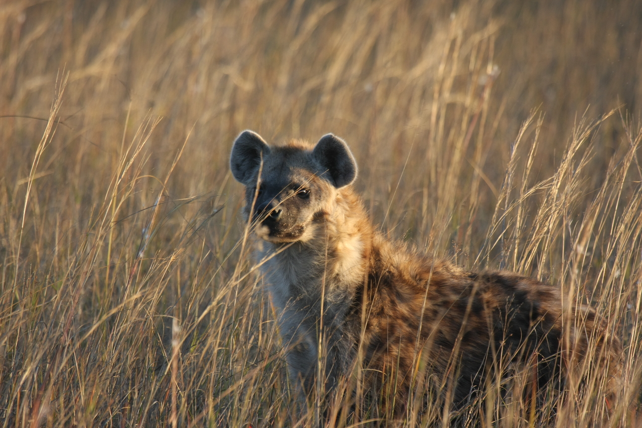 [21624] 2016_06_29_11_34_47_Africa_Canon_EOS_40D_IMG__10922.jpg