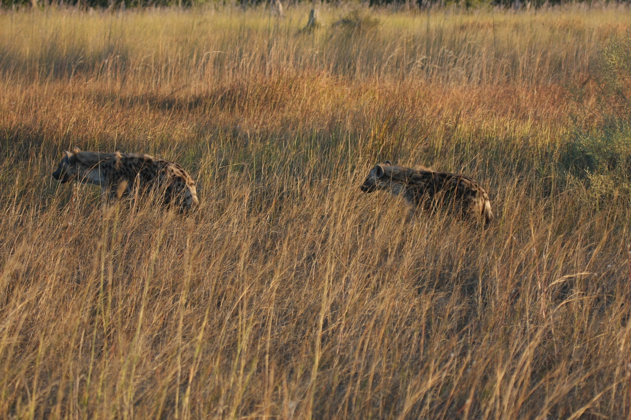 [21645] 2016_06_29_11_34_58_Africa_Canon_EOS_40D_IMG__00243.jpg