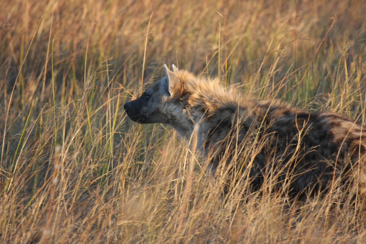 [21660] 2016_06_29_11_35_08_Africa_Canon_EOS_40D_IMG__00249.jpg