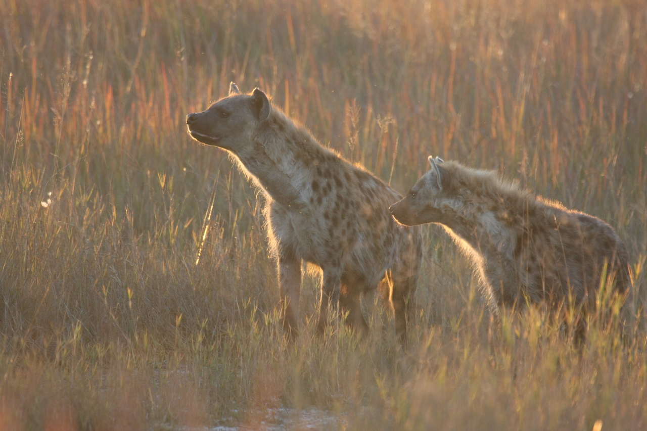 [21720] 2016_06_29_11_44_58_Africa_Canon_EOS_40D_IMG__00271.jpg