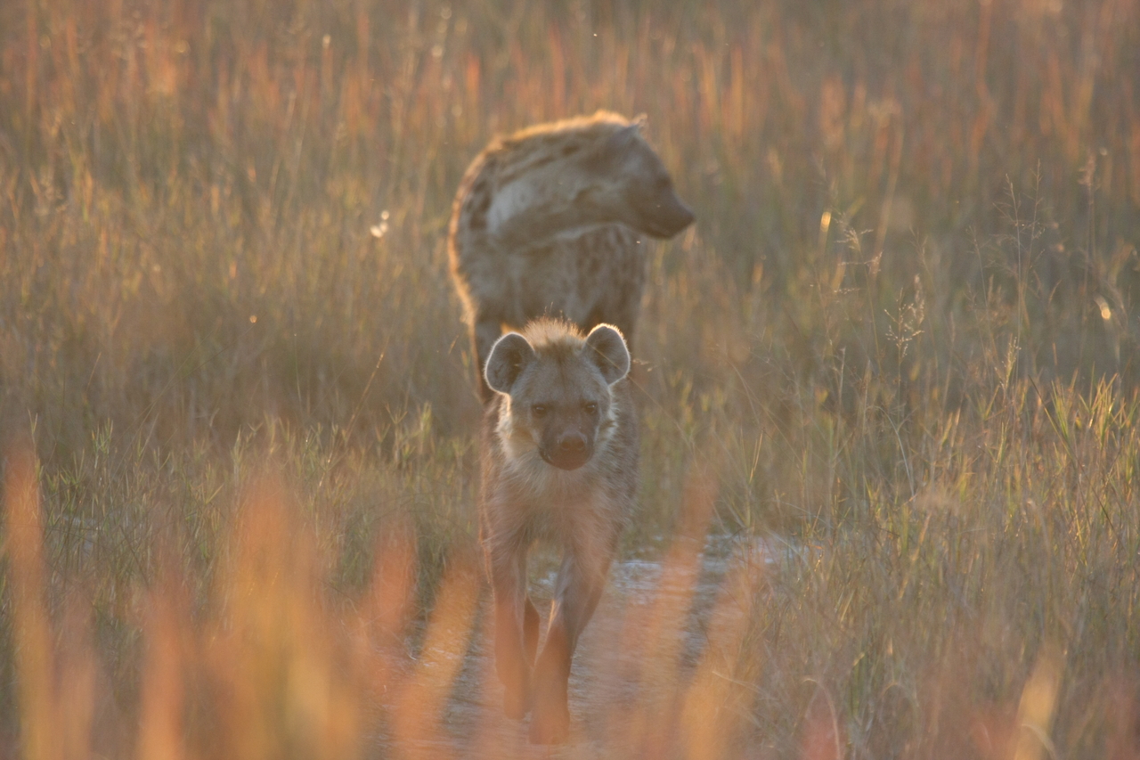 [21751] 2016_06_29_11_45_15_Africa_Canon_EOS_40D_IMG__03524.jpg