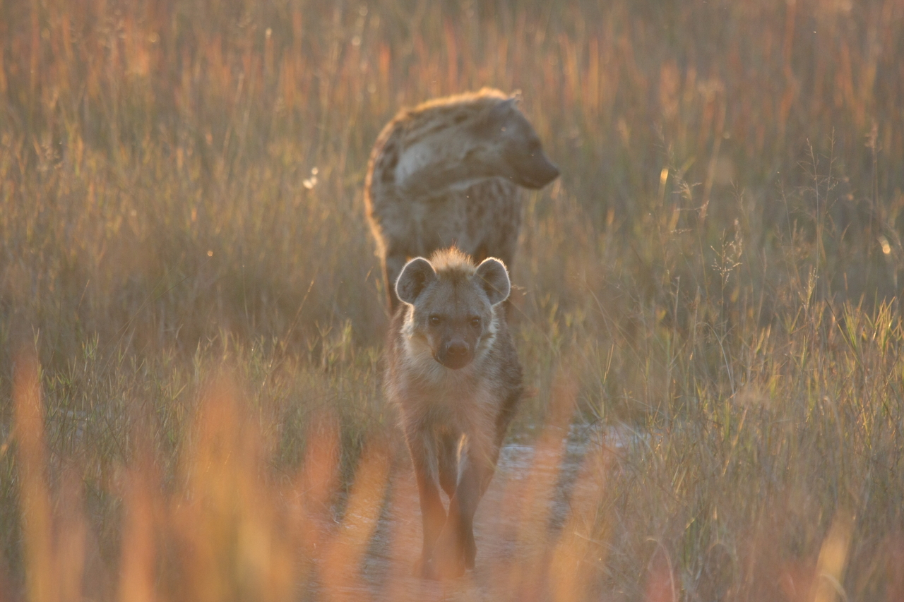 [21753] 2016_06_29_11_45_15_Africa_Canon_EOS_40D_IMG__10970.jpg