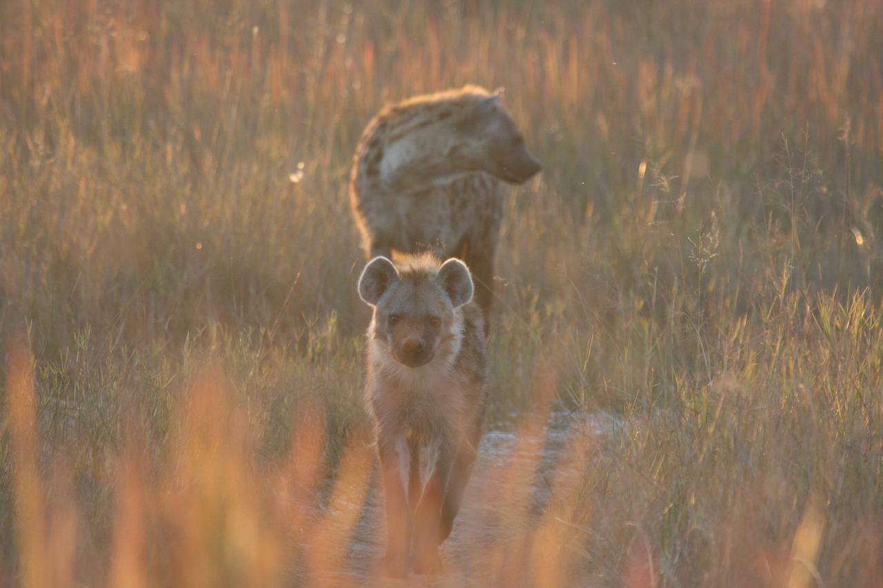 [21755] 2016_06_29_11_45_15_Africa_Canon_EOS_40D_IMG__10972.jpg