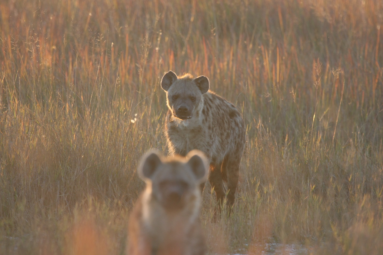 [21763] 2016_06_29_11_45_20_Africa_Canon_EOS_40D_IMG__10974.jpg