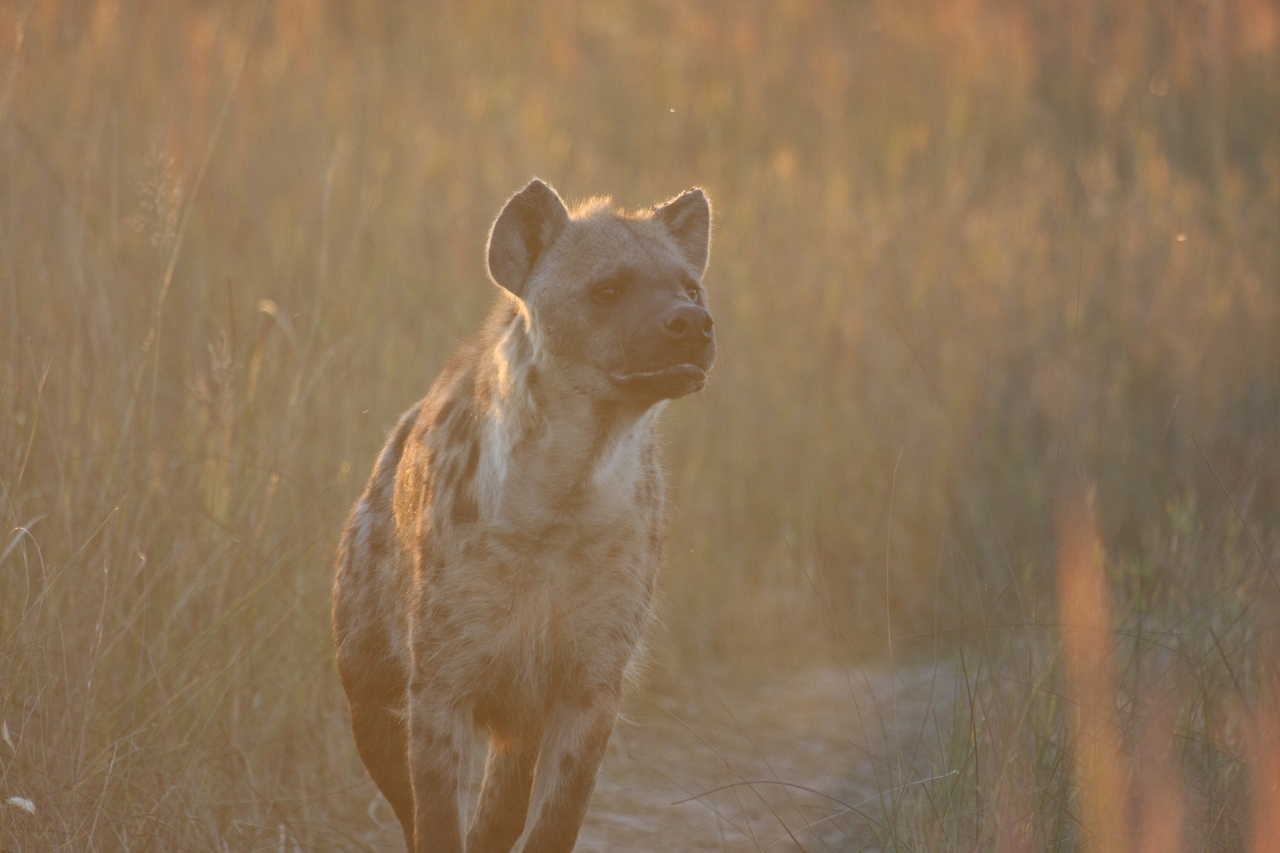 [21790] 2016_06_29_11_45_55_Africa_Canon_EOS_40D_IMG__03538.jpg