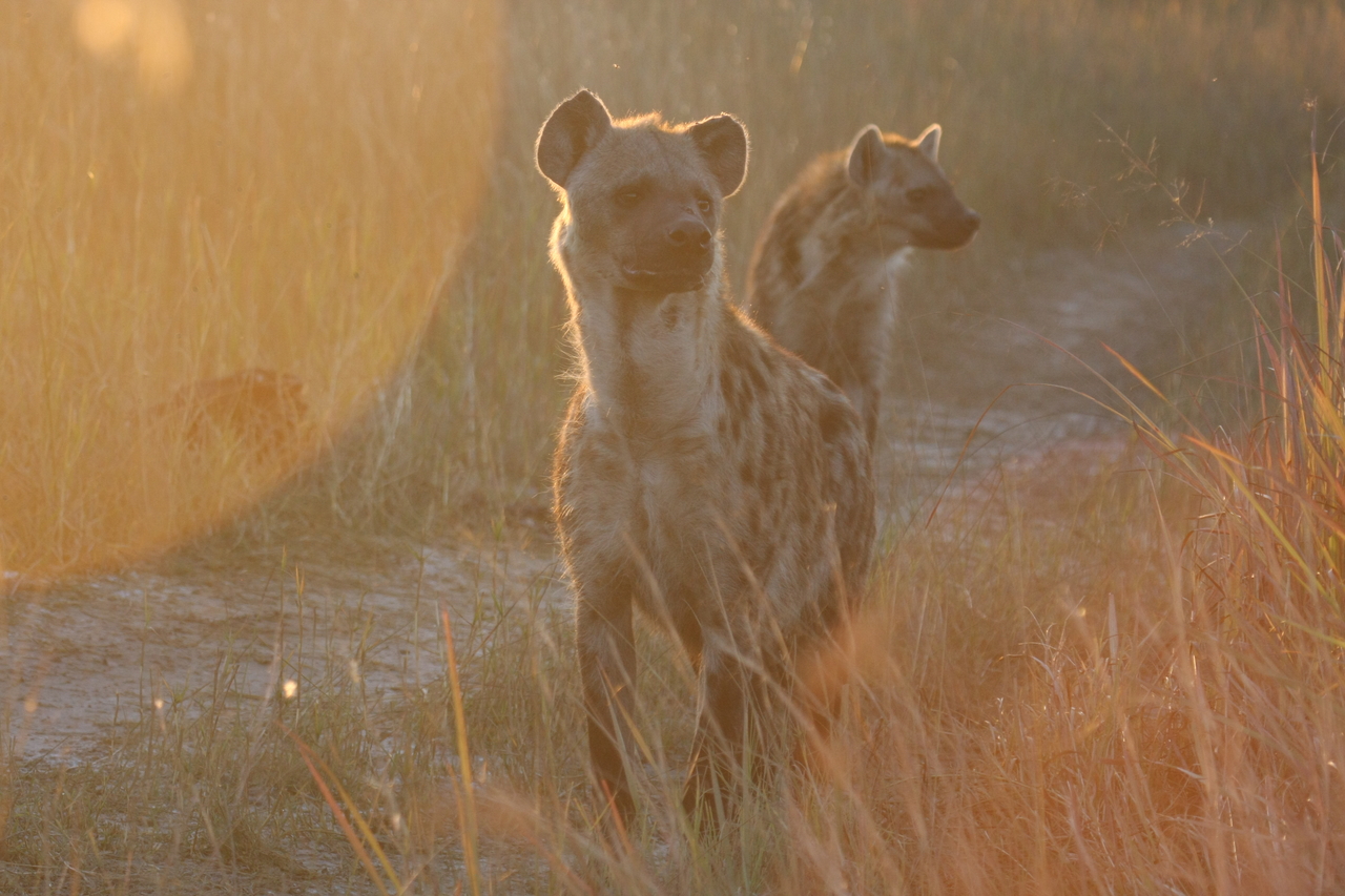 [21806] 2016_06_29_11_46_37_Africa_Canon_EOS_40D_IMG__00304.jpg