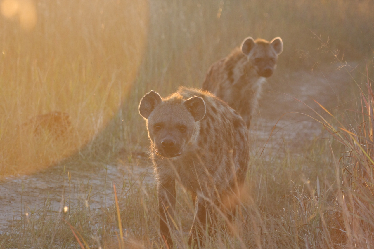 [21814] 2016_06_29_11_46_40_Africa_Canon_EOS_40D_IMG__00306.jpg