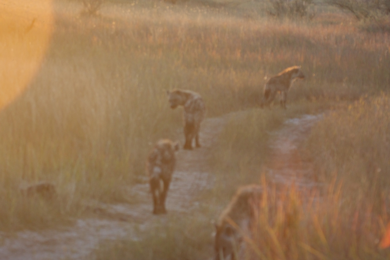 [21842] 2016_06_29_11_47_34_Africa_Canon_EOS_40D_IMG__03557.jpg