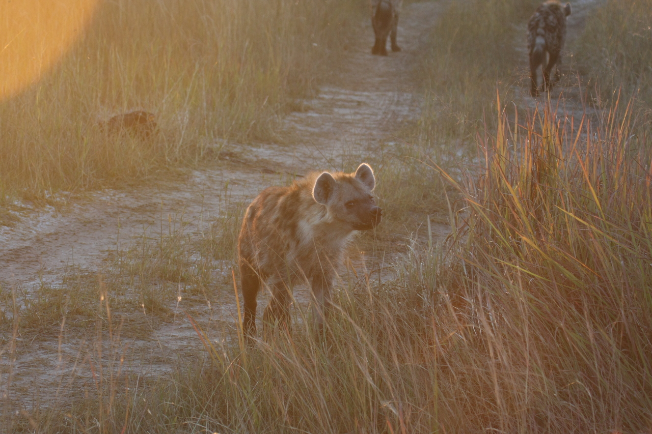 [21849] 2016_06_29_11_47_44_Africa_Canon_EOS_40D_IMG__03559.jpg