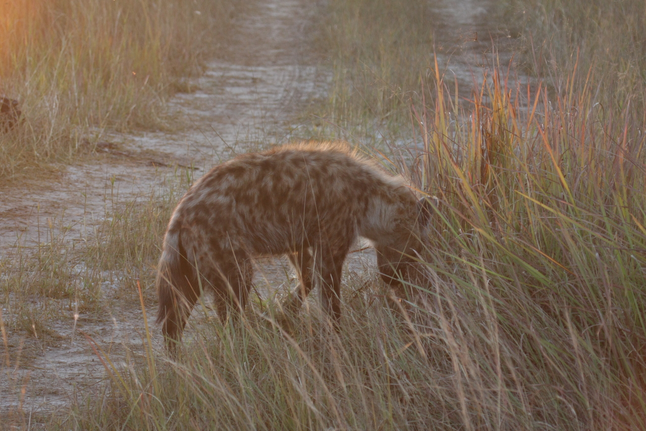 [21869] 2016_06_29_11_49_13_Africa_Canon_EOS_40D_IMG__00327.jpg