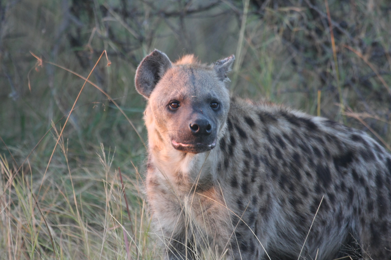 [21891] 2016_06_29_11_51_11_Africa_Canon_EOS_40D_IMG__11020.jpg