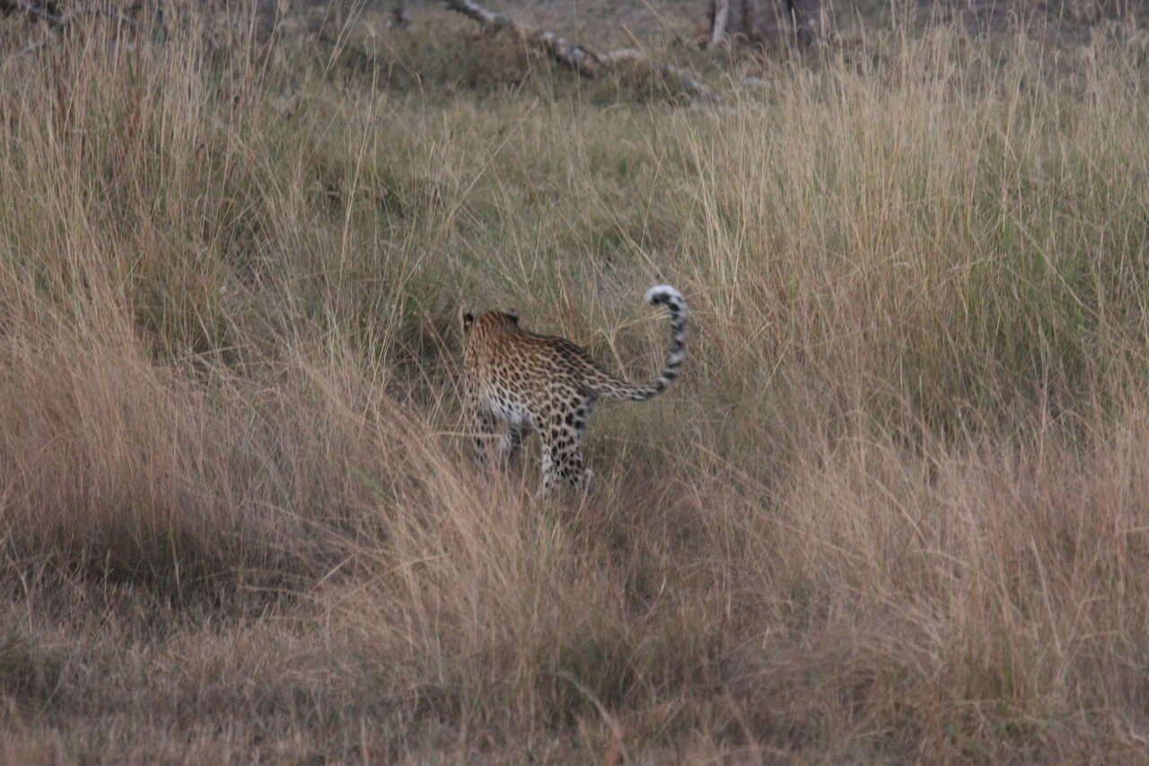 [21944] 2016_06_29_12_08_45_Africa_Canon_EOS_40D_IMG__00353.jpg