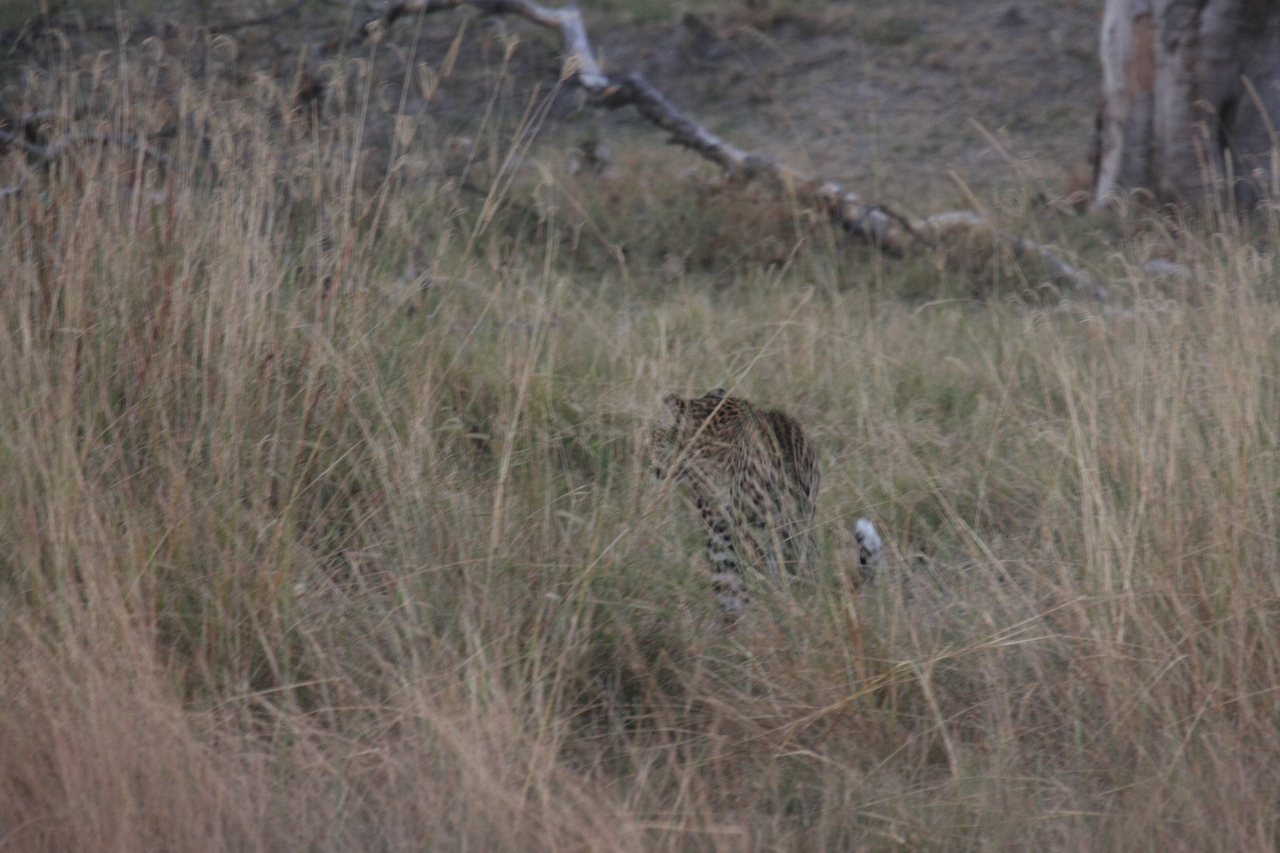 [21964] 2016_06_29_12_08_53_Africa_Canon_EOS_40D_IMG__00362.jpg